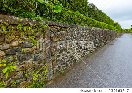 A historic streetscape of stone walls and hedges stretching along the samurai residence street in Chiran, Kagoshima Prefecture, on a rainy day. A historic streetscape of stone walls and hedges stretching along the samurai residence street in Chiran, Kagoshima Prefecture, on a rainy day. 139163747
