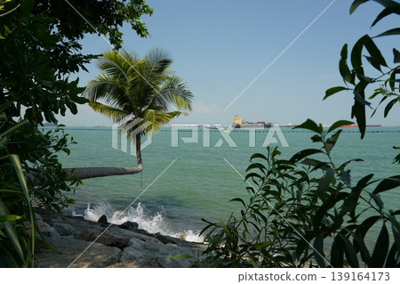 Tropical Beach with Leaning Coconut Palm Tree 139164173