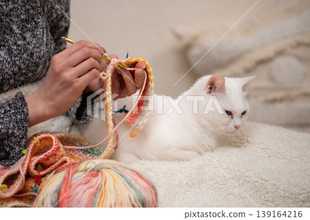 An odd-eyed white cat relaxes beside its owner who is knitting. An odd-eyed white cat relaxes beside its owner who is knitting. 139164216