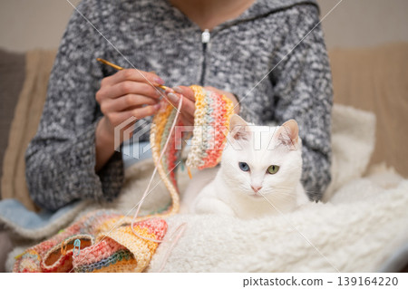 An odd-eyed white cat relaxes beside its owner who is knitting. An odd-eyed white cat relaxes beside its owner who is knitting. 139164220