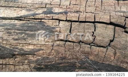 Natural Cracked Wood Texture with Wear Pattern and Rough Details 139164225
