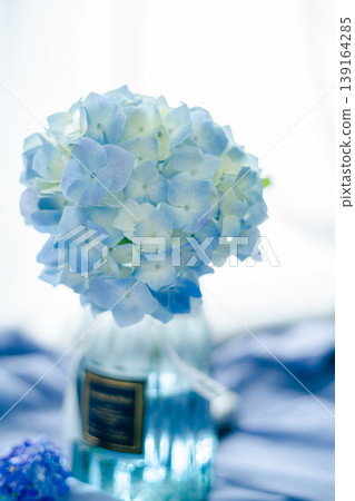 June's Colors: Blue Hydrangeas June's Colors: Blue Hydrangeas 139164285