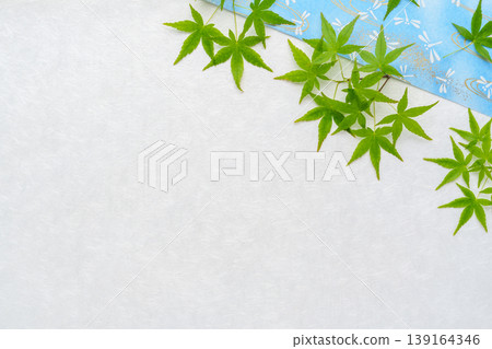 Dragonfly Yuzen Washi paper and blue maple leaf frame 139164346