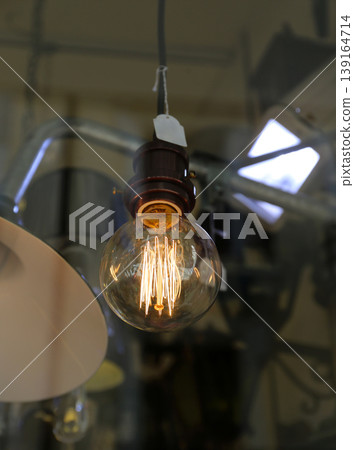Edison Globe Light Bulb Edison Globe Light Bulb 139164714