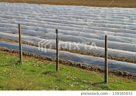 Greenhouse Floating Row Greenhouse Floating Row 139165031
