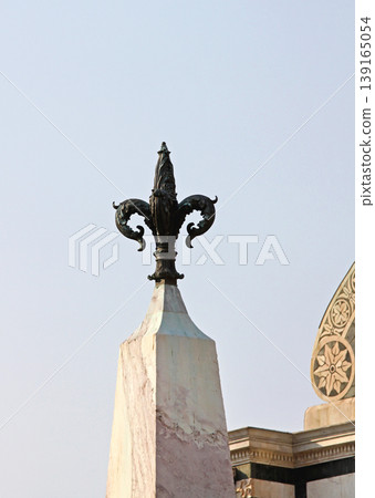 Flower Lily Florence City Flower Lily Florence City 139165054