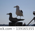A seagull resting on a stone statue of a seagull. 139165355