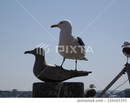 一隻海鷗棲息在海鷗的石雕像上。 139165355