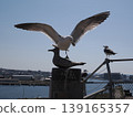 A seagull flapping its wings above a stone statue of a seagull. 139165357