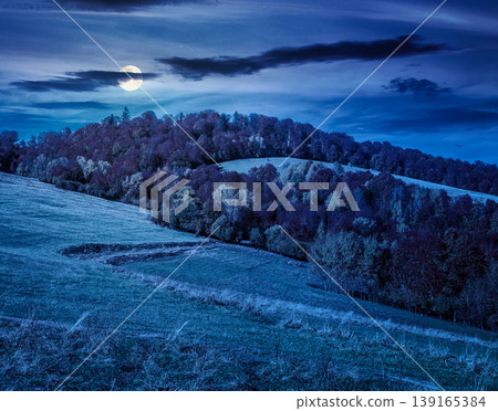 mysterious view of an autumn scenery in carpathian mountains at night. full moon over trees on the edge of a hill in fall colors. wonderful forested mountain landscape of ukraine mysterious view of an autumn scenery in carpathian mountains at night. full moon over trees on the edge of a hill in fall colors. wonderful forested mountain landscape of ukraine 139165384