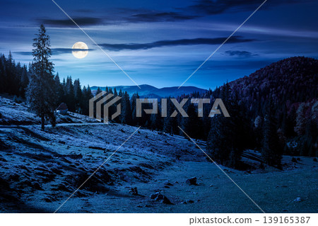 fir trees on a meadow down the hill to coniferous forest in mountains of Romania nature at night. full moon over view of remote colorful forest at the foot of a mountain in autumn. mysterious fantasy 139165387