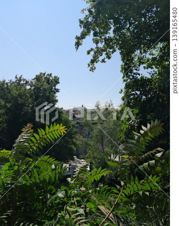 Lush Green Park View with Trees and Cityscape Under Clear Blue Sky 139165480