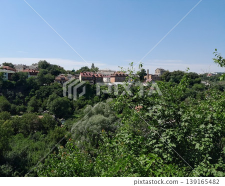 Lush Green Park View with Trees and Cityscape Under Clear Blue Sky Lush Green Park View with Trees and Cityscape Under Clear Blue Sky 139165482