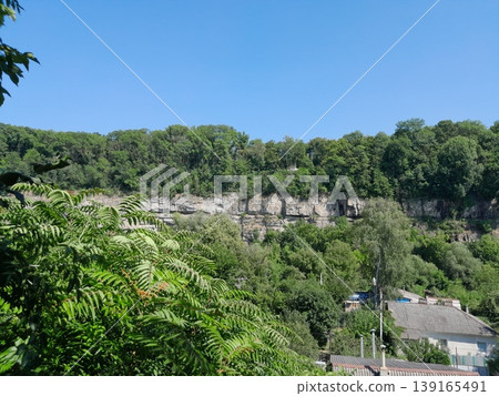 Lush Green Park View with Trees and Cityscape Under Clear Blue Sky Lush Green Park View with Trees and Cityscape Under Clear Blue Sky 139165491