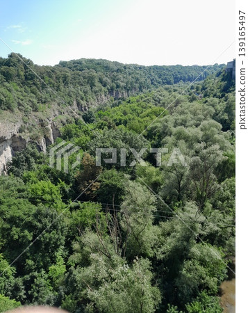 Lush Green Park View with Trees and Cityscape Under Clear Blue Sky 139165497