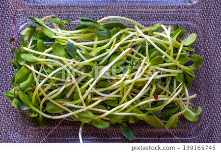 Green sprouts salad box 139165745