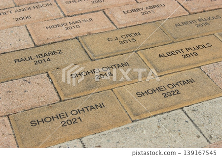 Los Angeles Hollywood Boulevard and Star-shaped plaque tourist scenery, American West Coast streetscape, hot dogs, junk food Los Angeles Hollywood Boulevard and Star-shaped plaque tourist scenery, American West Coast streetscape, hot dogs, junk food 139167545