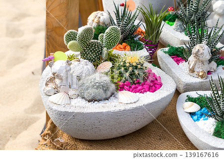 Decorative plants sold on market Decorative plants sold on market 139167616