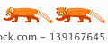 Red panda, ailurus fulgens and lesser panda, graphic design. Firefox, mammal, animal, wildlife and nature, vector design and illustration 139167645