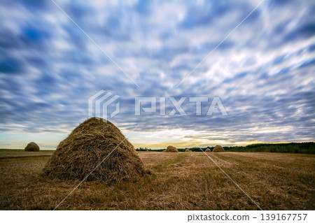 A big haycock stands in the field A big haycock stands in the field 139167757