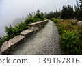 Foggy path winding through Acadia national park coast 139167816