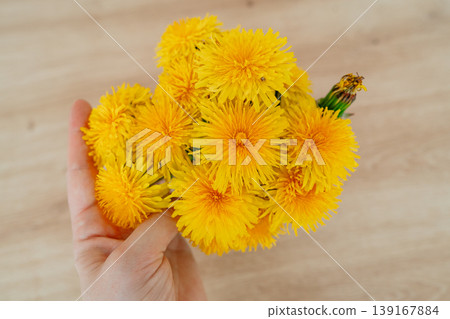 Hand holding fresh yellow dandelions. Spring, nature and seasonal concept. Hand holding fresh yellow dandelions. Spring, nature and seasonal concept. 139167884