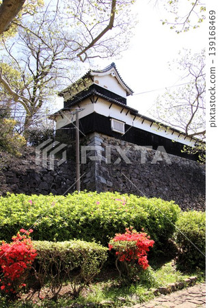 福岡城遺址多門塔樓和福岡市舞鶴公園盛開的櫻花。 福岡城遺址多門塔樓和福岡市舞鶴公園盛開的櫻花。 139168469
