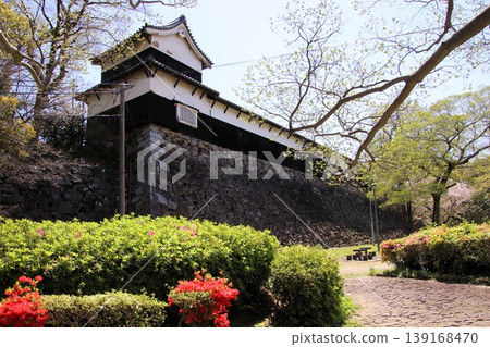 福岡城遺址多門塔樓和福岡市舞鶴公園盛開的櫻花。 福岡城遺址多門塔樓和福岡市舞鶴公園盛開的櫻花。 139168470
