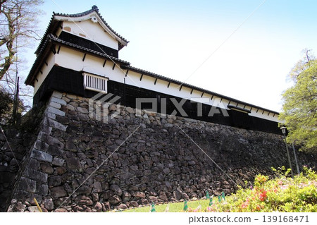 福岡城遺址多門塔樓和福岡市舞鶴公園盛開的櫻花。 福岡城遺址多門塔樓和福岡市舞鶴公園盛開的櫻花。 139168471