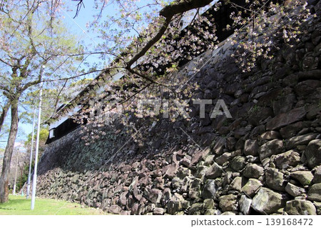 福岡城遺址多門塔樓和福岡市舞鶴公園盛開的櫻花。 福岡城遺址多門塔樓和福岡市舞鶴公園盛開的櫻花。 139168472