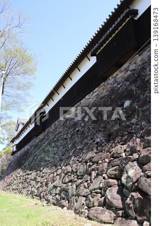 福岡城遺址多門塔樓和福岡市舞鶴公園盛開的櫻花。 福岡城遺址多門塔樓和福岡市舞鶴公園盛開的櫻花。 139168473