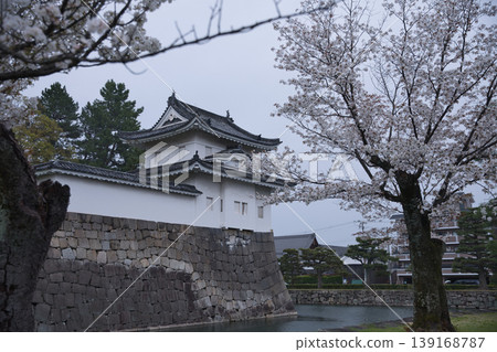 Kyoto scenery: The southwest corner turret viewed through cherry blossoms in full bloom (1) 139168787
