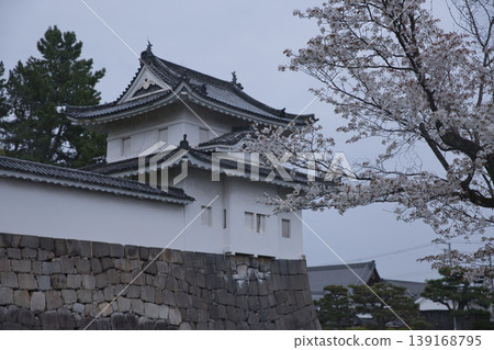 京都景色:透過盛開的櫻花眺望西南角塔樓(2) 京都景色:透過盛開的櫻花眺望西南角塔樓(2) 139168795