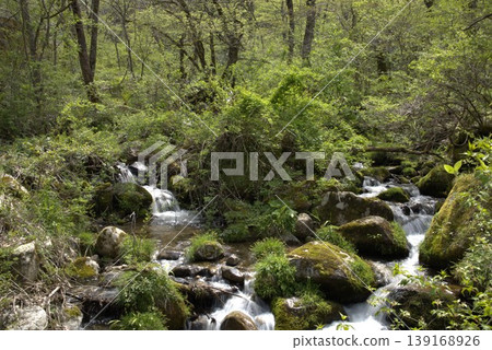美麗的山間溪流 139168926