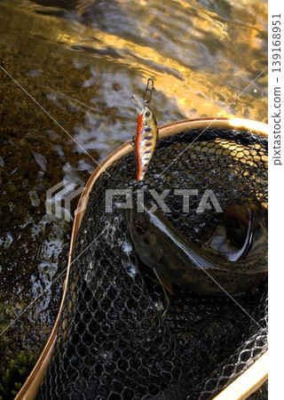 Stream lure fishing Stream lure fishing 139168951