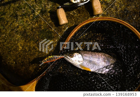 Stream lure fishing 139168953
