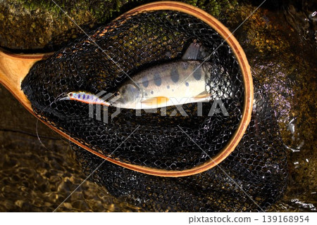 Stream lure fishing 139168954