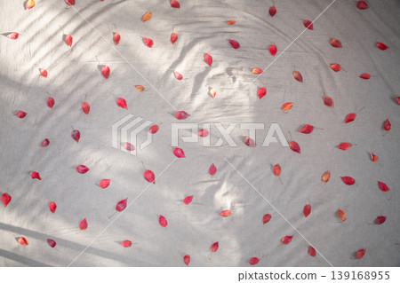 Scattered red leaves - an image of the leaves of the Japanese maple tree. 139168955