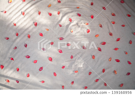 Scattered red leaves - an image of the leaves of the Japanese maple tree. 139168956