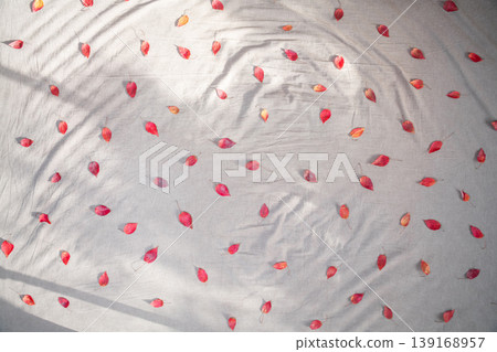Scattered red leaves - an image of the leaves of the Japanese maple tree. 139168957
