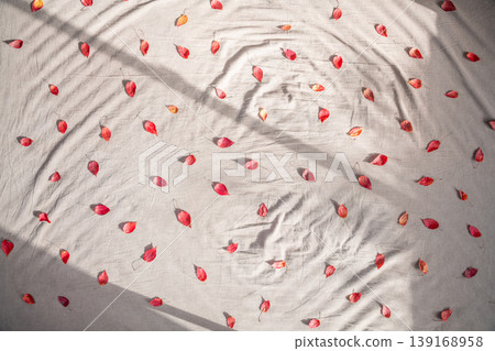 Scattered red leaves - an image of the leaves of the Japanese maple tree. 139168958