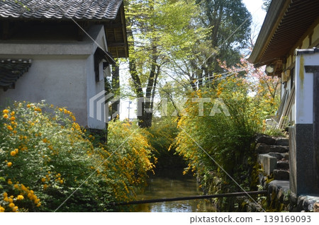 Kyoto Matsuo Taisha Kyoto Matsuo Taisha 139169093