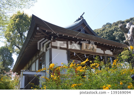 Kyoto Matsuo Taisha Kyoto Matsuo Taisha 139169094