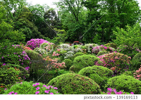 Kawasaki City Togakuin Temple and azalea flowers Kawasaki City Togakuin Temple and azalea flowers 139169113