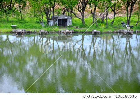 一名男子在淀川灣釣魚。 一名男子在淀川灣釣魚。 139169539