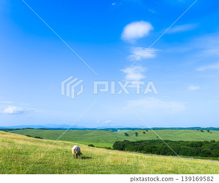 A refreshing blue sky with a breeze, and a panoramic view of Tawahei in Shibecha Town, Hokkaido. A refreshing blue sky with a breeze, and a panoramic view of Tawahei in Shibecha Town, Hokkaido. 139169582