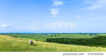 A refreshing blue sky with a breeze, and a panoramic view of Tawahei in Shibecha Town, Hokkaido. A refreshing blue sky with a breeze, and a panoramic view of Tawahei in Shibecha Town, Hokkaido. 139169584