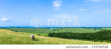 A refreshing blue sky with a breeze, and a panoramic view of Tawahei in Shibecha Town, Hokkaido. A refreshing blue sky with a breeze, and a panoramic view of Tawahei in Shibecha Town, Hokkaido. 139169586