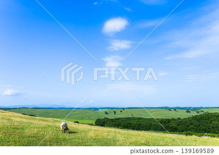 A refreshing blue sky with a breeze, and a panoramic view of Tawahei in Shibecha Town, Hokkaido. A refreshing blue sky with a breeze, and a panoramic view of Tawahei in Shibecha Town, Hokkaido. 139169589