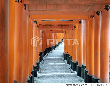 Fushimi-Inari Taisha Fushimi-Inari Taisha 139169604